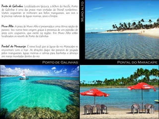 Muro alto
Porto de Galinhas: Localizada em Ipojuca, a 60km do Recife, Porto
de Galinhas é uma das praias mais visitadas do litoral nordestino.
Vastos coqueirais se misturam aos belos manguezais, aos rios e
às piscinas naturais de águas mornas, azuis e limpas.


Muro Alto: A praia de Muro Alto é preservada e uma ótima opção de
passeio. Seu nome teve origem graças à presença de um paredão de
areia com coqueiros, que existe na região. Em Muro Alto estão
localizados os resorts de Porto de Galinhas.


Pontal do Maracaípe: É nesse local que as águas do rio Maracaípe se
encontram com o mar. As atrações daqui são passeios de jangada
pelos manguezais; águas mornas e calmas para banhistas e almoço
em mesas montadas dentro do rio.

                                   Porto de Galinhas                              Pontal do Maracaípe
 