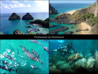 Fernando de Noronha
 