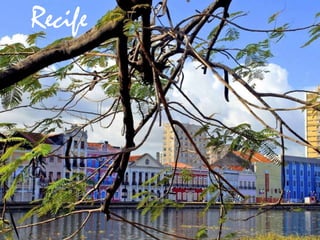 Recife
 