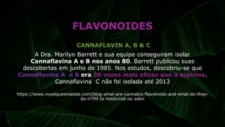 FLAVONOIDES
CANNAFLAVIN A, B & C
A Dra. Marilyn Barrett e sua equipe conseguiram isolar
Cannaflavina A e B nos anos 80. Barrett publicou suas
descobertas em junho de 1985. Nos estudos, descobriu-se que
Cannaflavina A e B era 30 vezes mais eficaz que a aspirina.
Cannaflavina C não foi isolada até 2013
https://www.royalqueenseeds.com/blog-what-are-cannabis-flavonoids-and-what-do-they-
do-n799 to medicinal ou valor
 