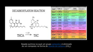 Reação química na qual um grupo carboxílico é eliminado
de um composto na forma de dióxido de carbono (CO2).
 