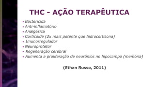 THC - AÇÃO TERAPÊUTICA
• Bactericida
• Anti-inflamatório
• Analgésica
• Corticoide (2x mais potente que hidrocortisona)
• Imunorregulador
• Neuroprotetor
• Regeneração cerebral
• Aumenta a proliferação de neurônios no hipocampo (memória)
(Ethan Russo, 2011)
 