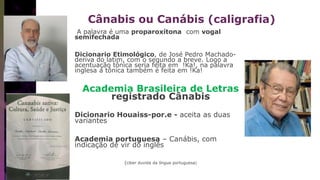 Cânabis ou Canábis (caligrafia)
A palavra é uma proparoxítona com vogal
semifechada
Dicionario Etimológico, de José Pedro Machado-
deriva do latim, com o segundo a breve. Logo a
acentuação tônica seria feita em !Ka!, na palavra
inglesa a tônica também é feita em !Ka!
Academia Brasileira de Letras
registrado Cânabis
Dicionario Houaiss-por.e - aceita as duas
variantes
Academia portuguesa – Canábis, com
indicação de vir do inglês
(ciber duvida da língua portuguesa)
 
