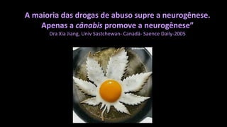 A maioria das drogas de abuso supre a neurogênese.
Apenas a cânabis promove a neurogênese”
Dra Xia Jiang, Univ Sastchewan- Canadá- Saence Daily-2005
 