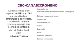 Acredita-se que ele é
superior ao THC e ao CBD
em sua atividade
antifungico e bactericida,
mostrando ser uma
grande promessa para
uso tópico e interno.
John M. McPartland,
2001
NÃO PSICOATIVO
• Inflamação, dor
• Inibe crescimento de tumores e células cancerígenas
• Estimula o crescimento ósseo
• Osteoporose
• Distrofia muscular
• Insônia
• Depressão
• Artrite
• Alzheimer, Parkinson
• Estimula neurogênese
CBC-CANABICROMENO
 
