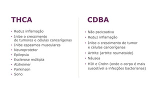 THCA
• Reduz inflamação
• Inibe o crescimento
de tumores e células cancerígenas
• Inibe espasmos musculares
• Neuroprotetor
• Epilepsia
• Esclerose múltipla
• Alzheimer
• Parkinson
• Sono
• Não pscicoativo
• Reduz inflamação
• Inibe o crescimento de tumor
e células cancerígenas
• Artrite (artrite reumatoide)
• Náusea
• HIV e Crohn (onde o corpo é mais
suscetível a infecções bacterianas)
CDBA
 