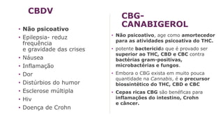 CBDV
• Não psicoativo
• Epilepsia- reduz
frequência
e gravidade das crises
• Náusea
• Inflamação
• Dor
• Distúrbios do humor
• Esclerose múltipla
• Hiv
• Doença de Crohn
CBG-
CANABIGEROL
• Não psicoativo, age como amortecedor
para as atividades psicoativa do THC.
• potente bactericida que é provado ser
superior ao THC, CBD e CBC contra
bactérias gram-positivas,
microbactérias e fungos.
• Embora o CBG exista em muito pouca
quantidade na Cannabis, é o precursor
biossintético do THC, CBD e CBC
• Cepas ricas CBG são benéficas para
inflamações do intestino, Crohn
e câncer.
 