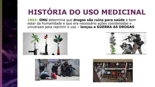 1961- ONU determina que drogas são ruins para saúde e bem
estar da humanidade e que era necessário ações coordenadas e
universais para reprimir o uso – lançou a GUERRA AS DROGAS
HISTÓRIA DO USO MEDICINAL
 