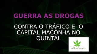 GUERRA AS DROGAS
CONTRA O TRÁFICO E O
CAPITAL MACONHA NO
QUINTAL
 