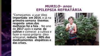 MURILO- anos
EPILEPSIA REFRATÁRIA
“Começamos a usar óleo
importado em 2014, e já na
primeira semana tivemos
resposta umas das
melhoras foi a fala . No ano
de 2017 após o curso da
cultive e comecei a cultiva e
fazer o nosso próprio óleo
artesanal, reduziu 90% dos
medicamentos alopáticos e
das crises.
 