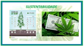 SUSTENTABILIDADE
 