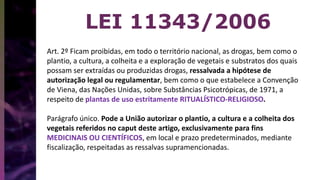 LEI 11343/2006
Art. 2º Ficam proibidas, em todo o território nacional, as drogas, bem como o
plantio, a cultura, a colheita e a exploração de vegetais e substratos dos quais
possam ser extraídas ou produzidas drogas, ressalvada a hipótese de
autorização legal ou regulamentar, bem como o que estabelece a Convenção
de Viena, das Nações Unidas, sobre Substâncias Psicotrópicas, de 1971, a
respeito de plantas de uso estritamente RITUALÍSTICO-RELIGIOSO.
Parágrafo único. Pode a União autorizar o plantio, a cultura e a colheita dos
vegetais referidos no caput deste artigo, exclusivamente para fins
MEDICINAIS OU CIENTÍFICOS, em local e prazo predeterminados, mediante
fiscalização, respeitadas as ressalvas supramencionadas.
 