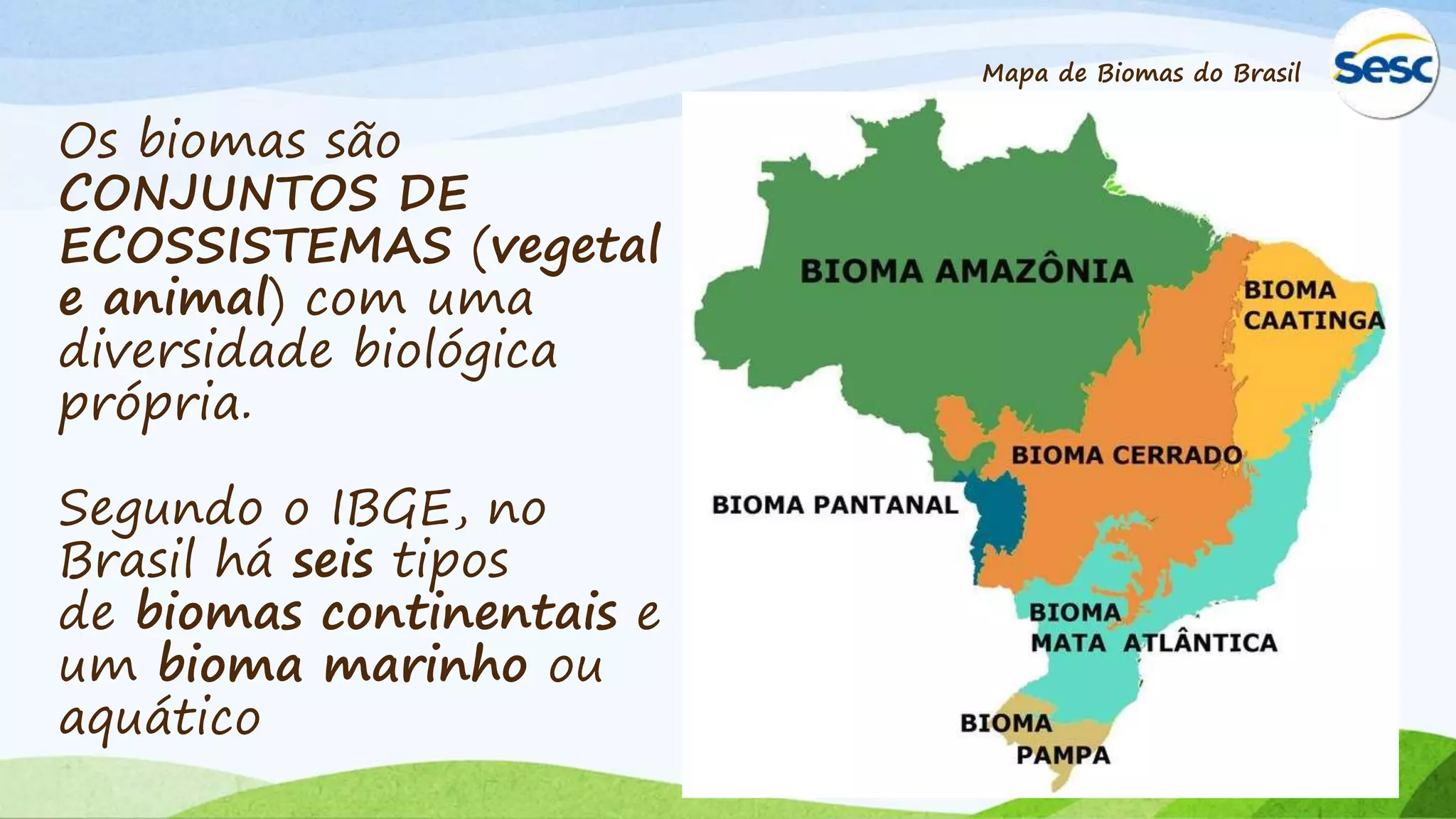 slides sobre biomas brasileiros | PPTX | Geography | Science