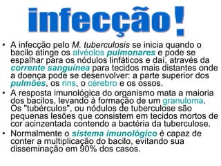 A infecção pelo  M. tuberculosis  se inicia quando o bacilo atinge os  alvéolos   pulmonares  e pode se espalhar para os nódulos linfáticos e daí, através da  corrente sanguínea  para tecidos mais distantes onde a doença pode se desenvolver: a parte superior dos  pulmões , os  rins , o  cérebro  e os ossos. A resposta imunológica do organismo mata a maioria dos bacilos, levando à formação de um  granuloma . Os "tubérculos", ou nódulos de tuberculose são pequenas lesões que consistem em tecidos mortos de cor acinzentada contendo a bactéria da tuberculose. Normalmente o  sistema imunológico  é capaz de conter a multiplicação do bacilo, evitando sua disseminação em 90% dos casos. infecção ' . 