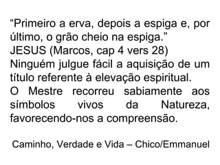 “Primeiro a erva, depois a espiga e, por
último, o grão cheio na espiga.”
JESUS (Marcos, cap 4 vers 28)
Ninguém julgue fácil a aquisição de um
título referente à elevação espiritual.
O Mestre recorreu sabiamente aos
símbolos vivos da Natureza,
favorecendo-nos a compreensão.
Caminho, Verdade e Vida – Chico/Emmanuel
 