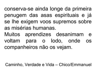 conserva-se ainda longe da primeira
penugem das asas espirituais e já
se lhe exigem voos supremos sobre
as misérias humanas.
Muitos aprendizes desanimam e
voltam para o lodo, onde os
companheiros não os vejam.
Caminho, Verdade e Vida – Chico/Emmanuel
 