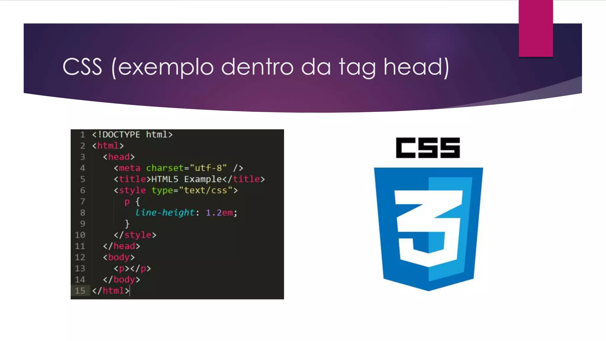 CSS (exemplo dentro da tag head) 