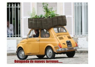Búsqueda de nuevos terrenos……
 