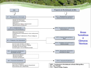 Áreas
Temáticas
    e
 Câmaras
 Técnicas
 