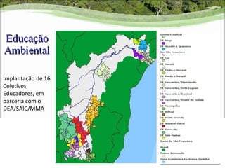 Implantação de 16
Coletivos
Educadores, em
parceria com o
DEA/SAIC/MMA
 