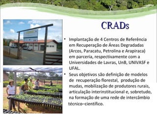 • Implantação de 4 Centros de Referência
  em Recuperação de Áreas Degradadas
  (Arcos, Paracatu, Petrolina e Arapiraca)
  em parceria, respectivamente com a
  Universidades de Lavras, UnB, UNIVASF e
  UFAL.
• Seus objetivos são definição de modelos
  de recuperação florestal, produção de
  mudas, mobilização de produtores rurais,
  articulação interinstitucional e, sobretudo,
  na formação de uma rede de intercâmbio
  técnico–científico.
 
