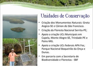• Criação dos Monumentos Naturais: Grota
  Angico-SE e Cânion do São Francisco.
• Criação da Floresta Nacional Serrita-PE;
• Apoio a criação UCs Municipais em
  Capela, Monte Alegre-SE, Trindade-PE e
  Pains-MG.
• Apoio a criação UCs federais APA Foz,
  Parque Nacional Boqueirão da Onça e
  Dunas.
• Em parceria com a Secretaria de
  Biodiversidade e Florestas - SBF
 