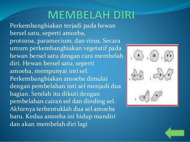 ppt ict