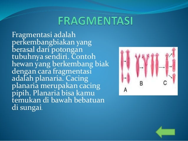 ppt ict