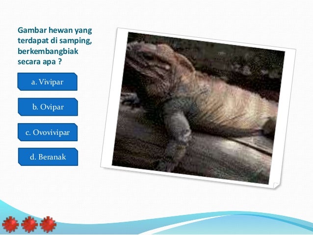 Ppt ict