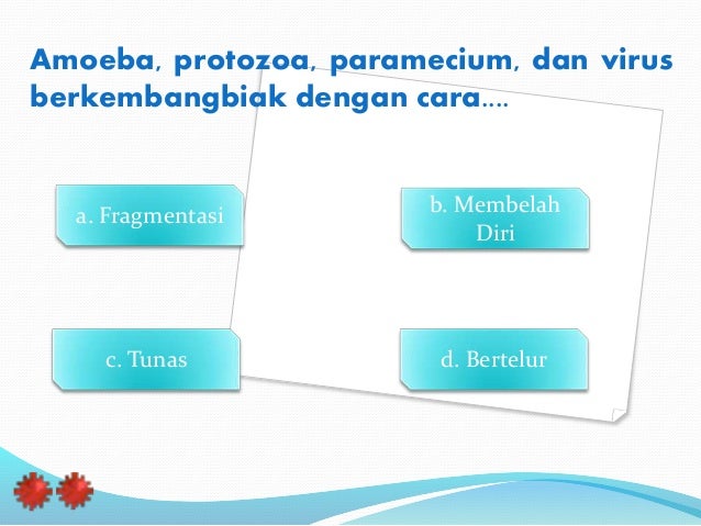 Rencana perencanaan pembelajaran ipa kelas 6 semester 1 Rencana perencanaan pembelajaran ipa kelas 6 semester 1