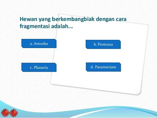 Rencana Perencanaan Pembelajaran Ipa Kelas 6 Semester 1