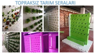 TOPRAKSIZ TARIM SERALARI
 