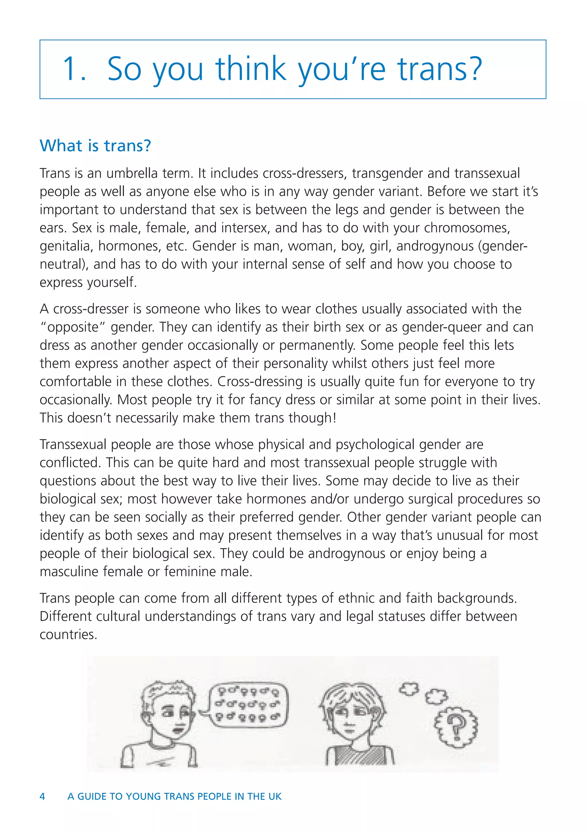 Rencontre du CRIPS / Act Up-Paris "Personnes trans : quels enjeux de santé ?" - Dossier documentaire