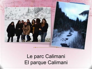 Le parc Calimani
El parque Calimani

 