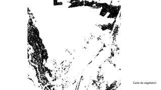 Carte de végétation
 