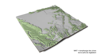 MNT + remplissage des zones
de la carte de végétation
 