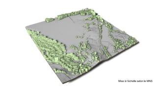 Mise à l’échelle selon le MNS
 