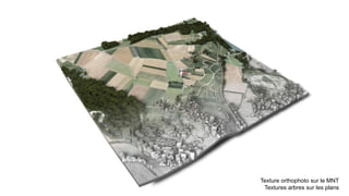 Texture orthophoto sur le MNT
Textures arbres sur les plans
 