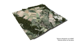 Texture orthophoto sur le MNT
Textures arbres sur les plans
 