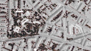 Superposition ortho + couche arbres IGN
 