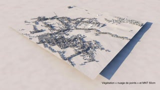 Végétation « nuage de points » et MNT 50cm
 