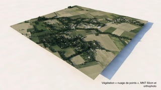 Végétation « nuage de points », MNT 50cm et
orthophoto
 