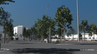 année de plantation
 