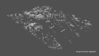 Nuage de points végétation
 
