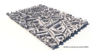 Modèle numérique de surface (MNS)
 