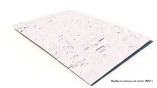 Modèle numérique de terrain (MNT)
 