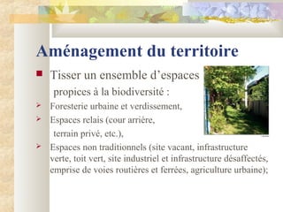 Aménagement du territoire
 Tisser un ensemble d’espaces
propices à la biodiversité :
 Foresterie urbaine et verdissement,
 Espaces relais (cour arrière,
terrain privé, etc.),
 Espaces non traditionnels (site vacant, infrastructure
verte, toit vert, site industriel et infrastructure désaffectés,
emprise de voies routières et ferrées, agriculture urbaine);
 