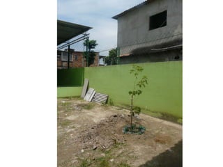 Rencontre verte 21012012