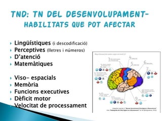  Lingüístiques (i descodificació)
 Perceptives (lletres i números)
 D’atenció
 Matemàtiques
 Viso- espacials
 Memòria
 Funcions executives
 Dèficit motor
 Velocitat de processament
 
