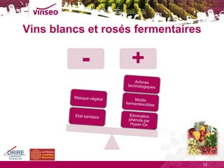 Vins blancs et rosés fermentaires 